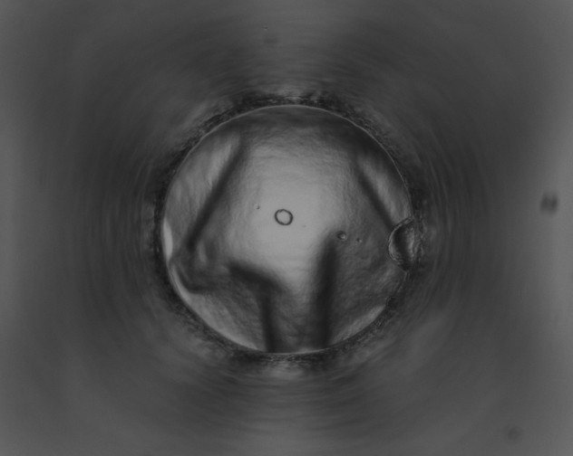 X0000091560656200708311416