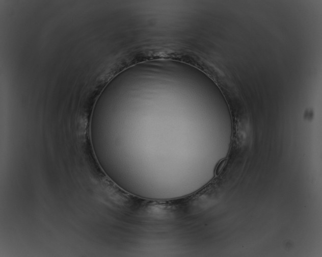 X0000091560657200708311416