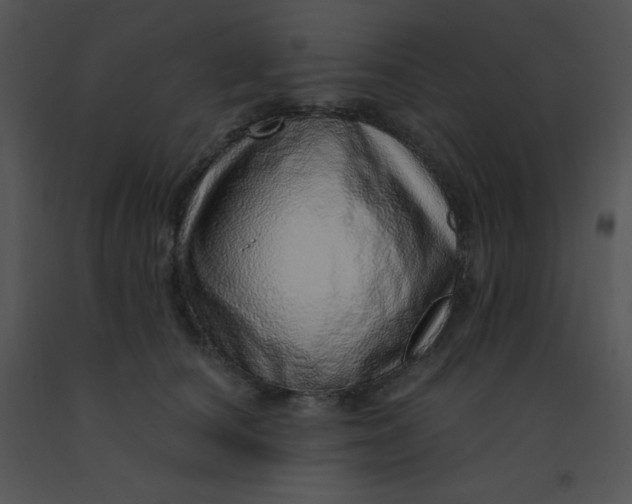 X0000091560660200708311416