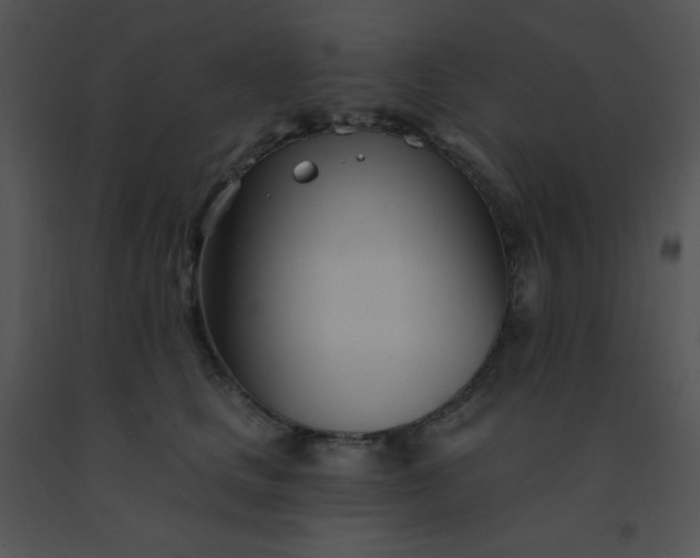 X0000091560661200708311416