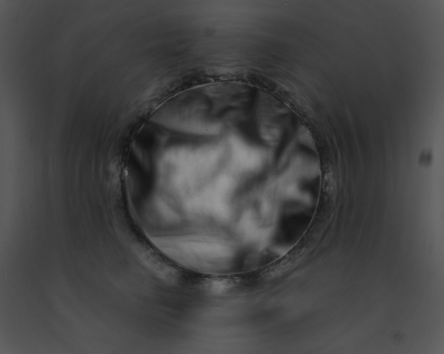 X0000091560662200708311416