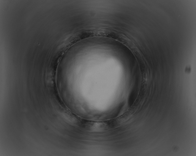 X0000091560663200708311416