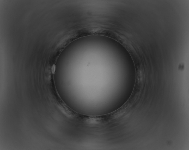 X0000091560664200708311416