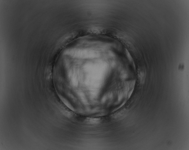 X0000091560665200708311416