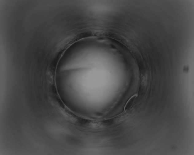 X0000091560666200708311416