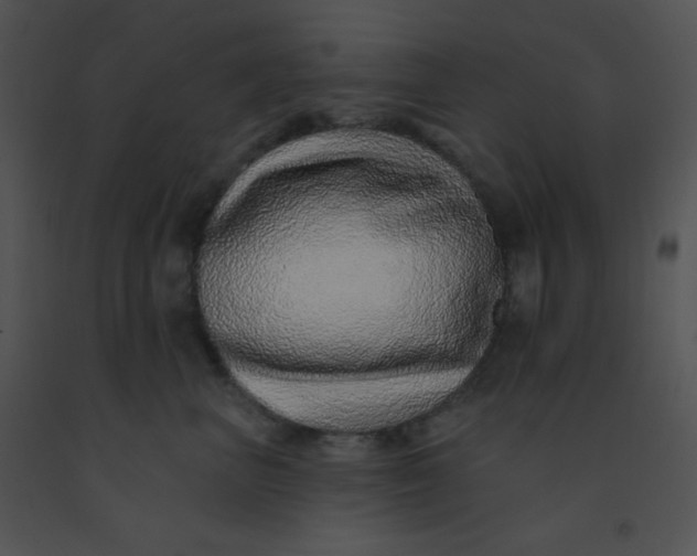 X0000091560667200708311416