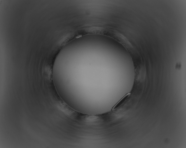 X0000091560669200708311416