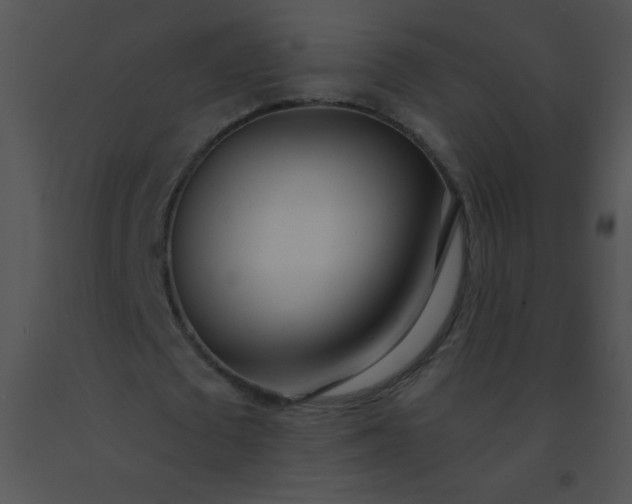 X0000091560673200708311415