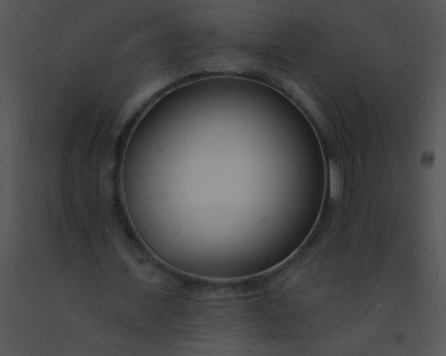 X0000091560675200708311415