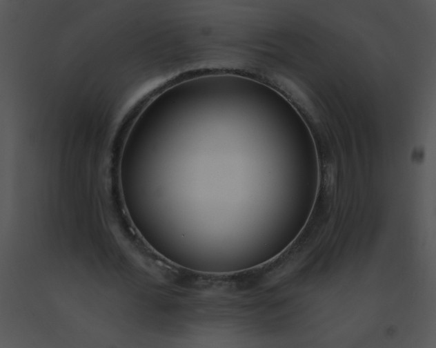 X0000091560676200708311415