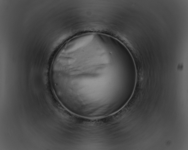 X0000091560679200708311415