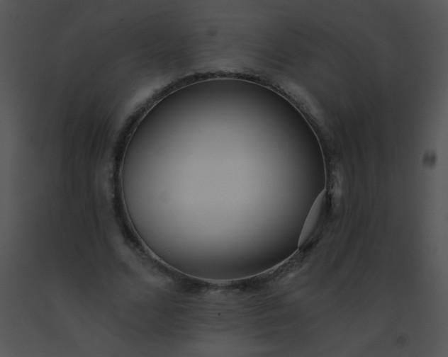 X0000091560680200708311415