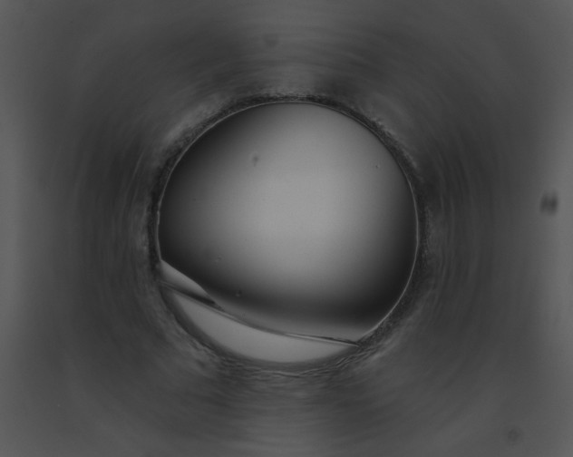 X0000091560681200708311415