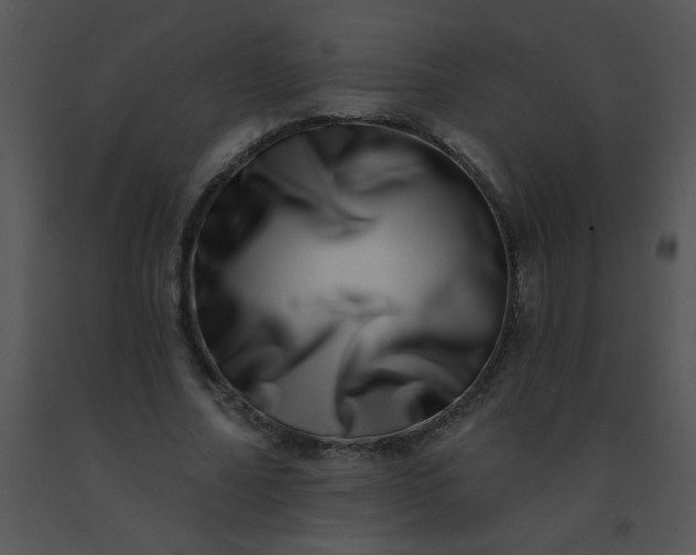 X0000091560682200708311415