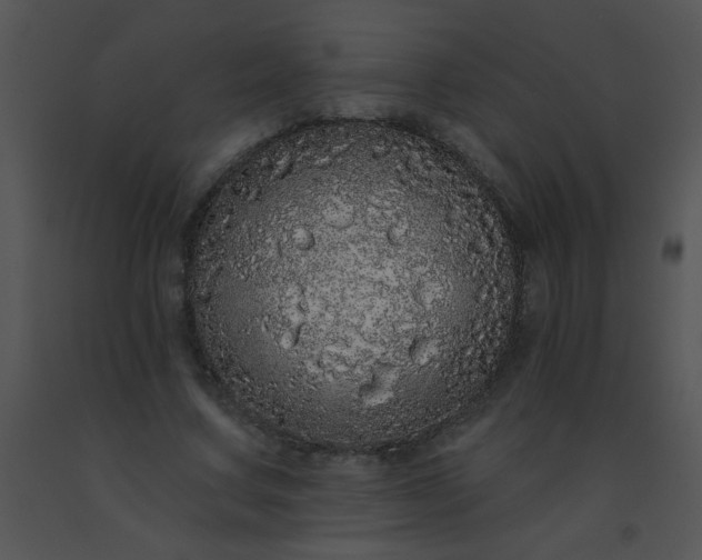 X0000091560683200708311415