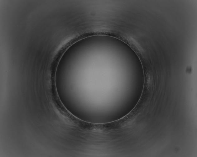 X0000091560684200708311415