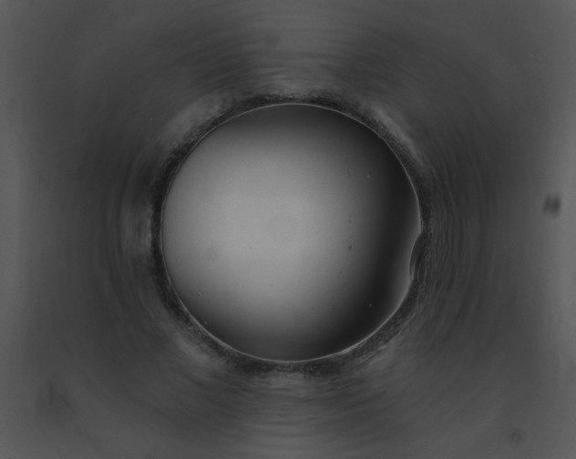 X0000091560685200708311415