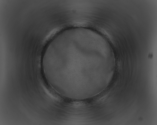 X0000091560686200708311415