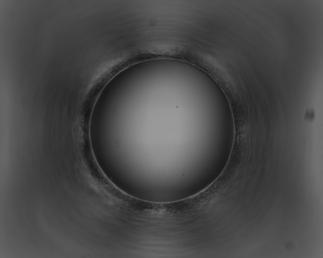 X0000091560688200708311415