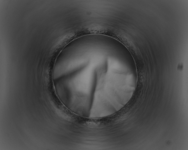 X0000091560690200708311415