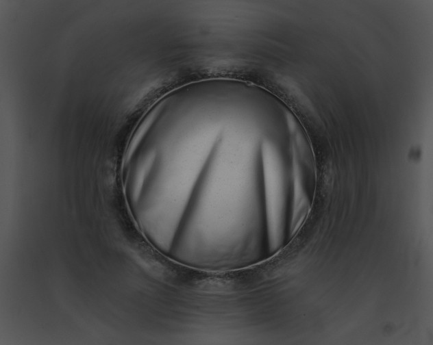 X0000091560691200708311415