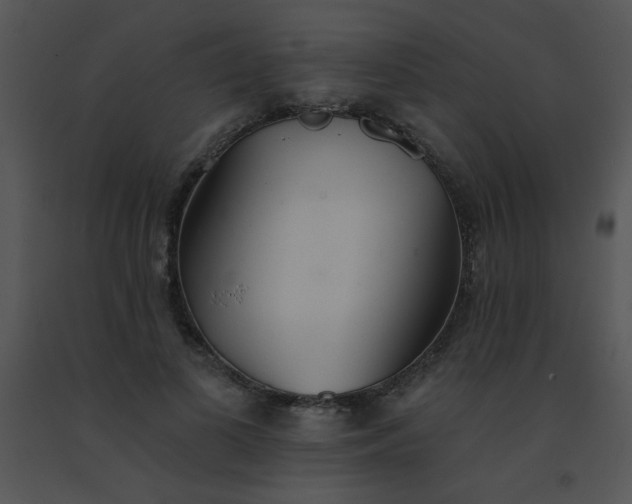 X0000091560693200708311415