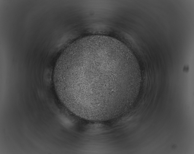 X0000091560695200708311415