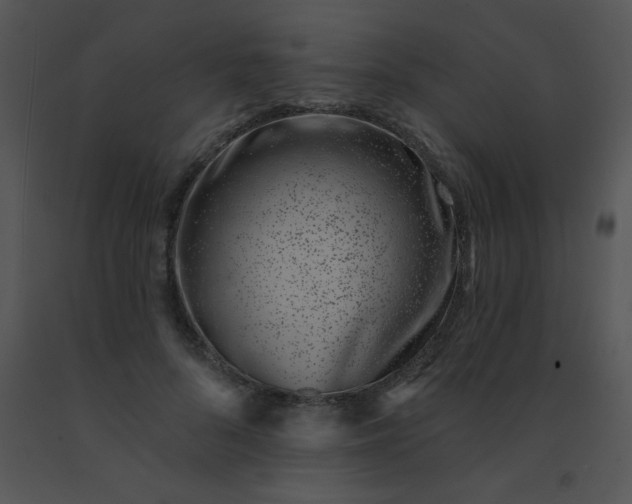 X0000091560696200708311415