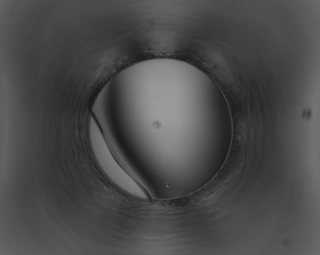 X0000091560697200708311415