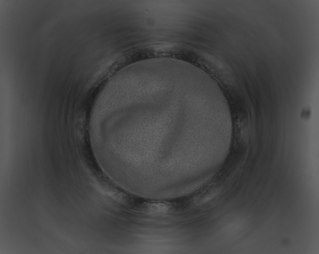 X0000091560698200708311415