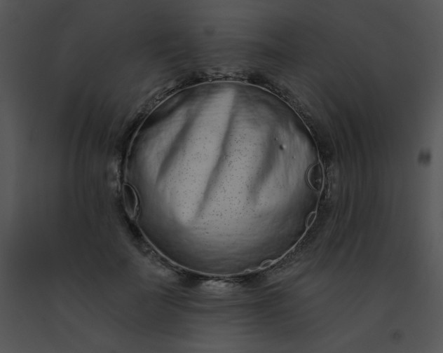 X0000091560699200708311415