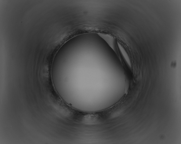 X0000091560700200708311415