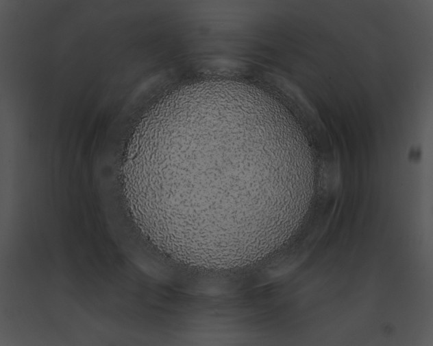 X0000091560701200708311415