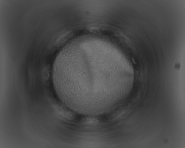 X0000091560702200708311415