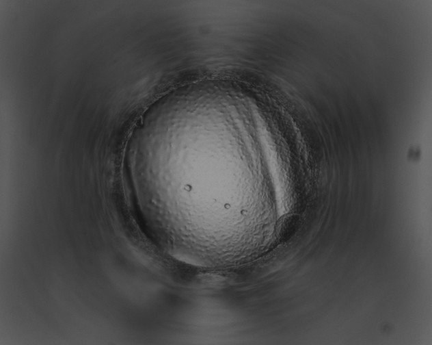 X0000091560703200708311415