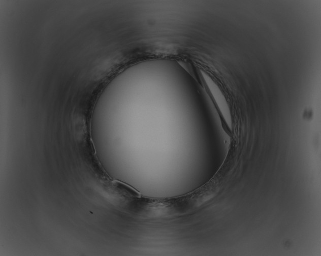 X0000091560704200708311415