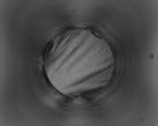 X0000091560707200708311415