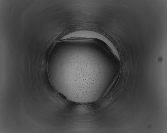 X0000091560708200708311415