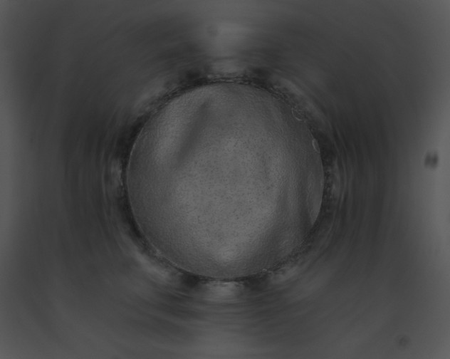 X0000091560711200708311415