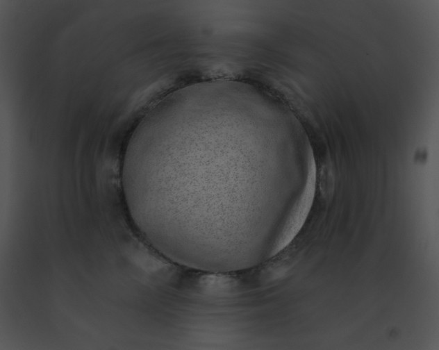 X0000091560714200708311415