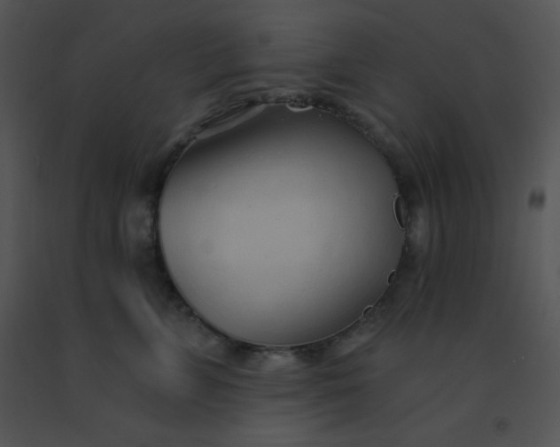 X0000091560715200708311415