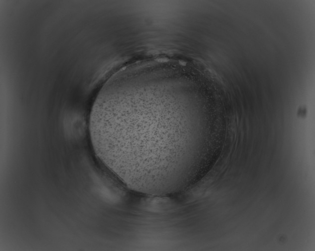 X0000091560716200708311415