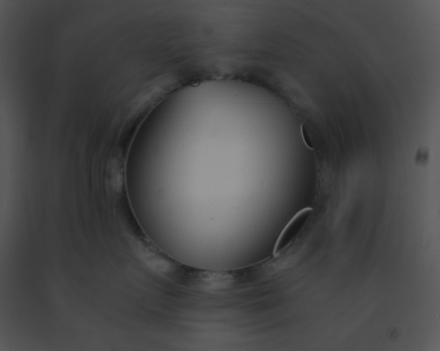 X0000091560719200708311415