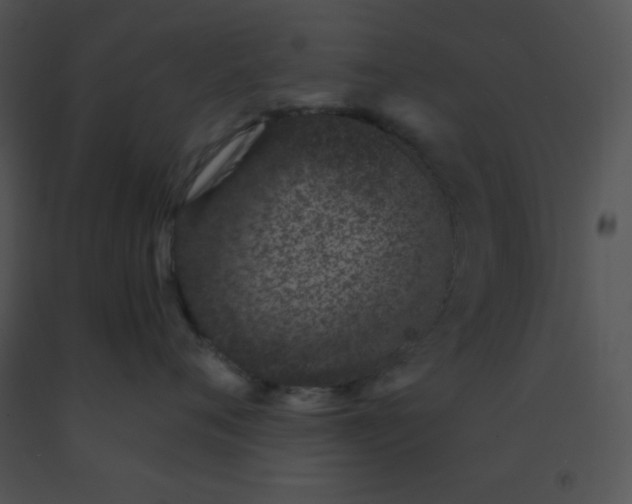 X0000091560720200708311415