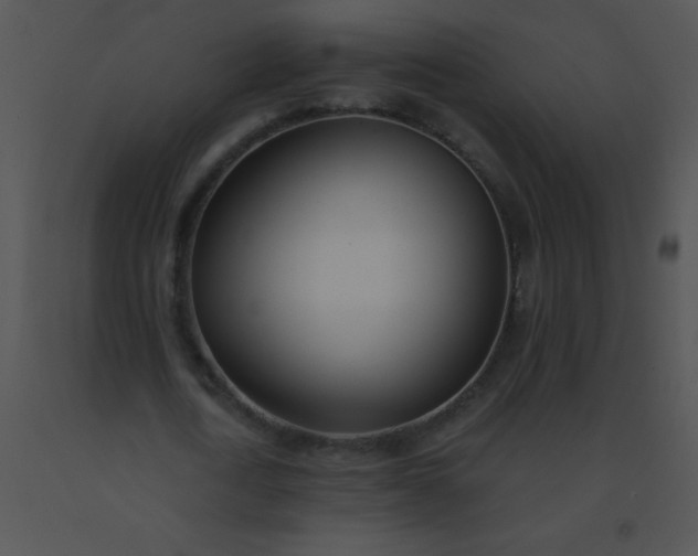 X0000091560722200708311414