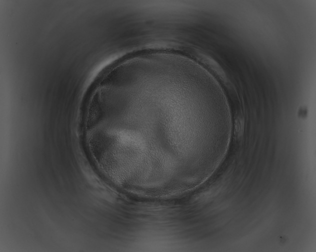 X0000091560724200708311414