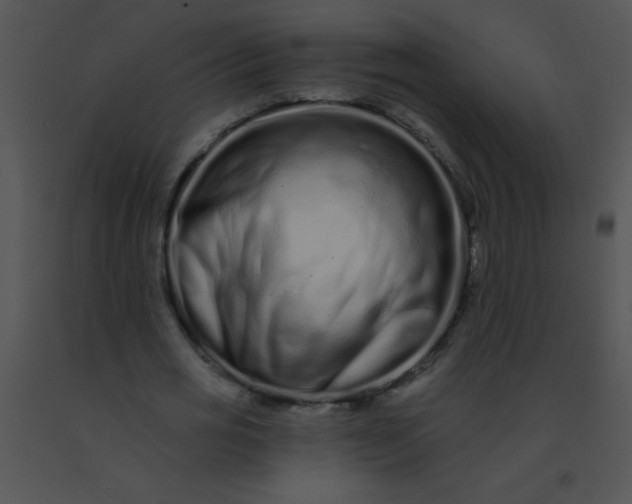 X0000091560725200708311414