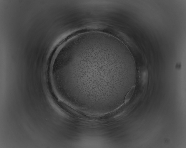 X0000091560726200708311414