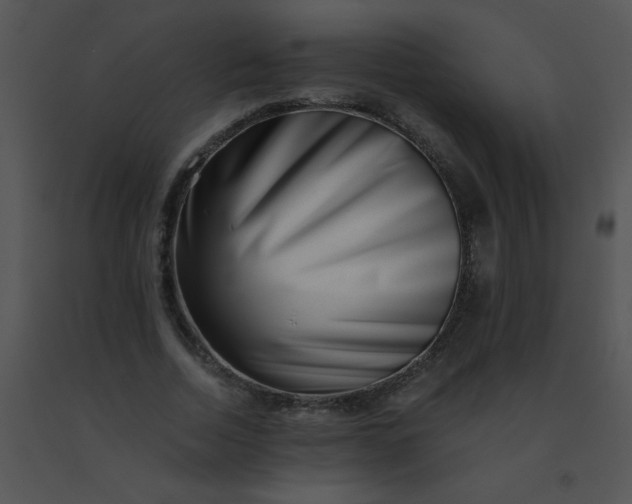 X0000091560730200708311414