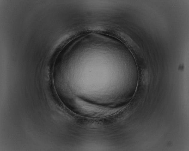 X0000091560731200708311414